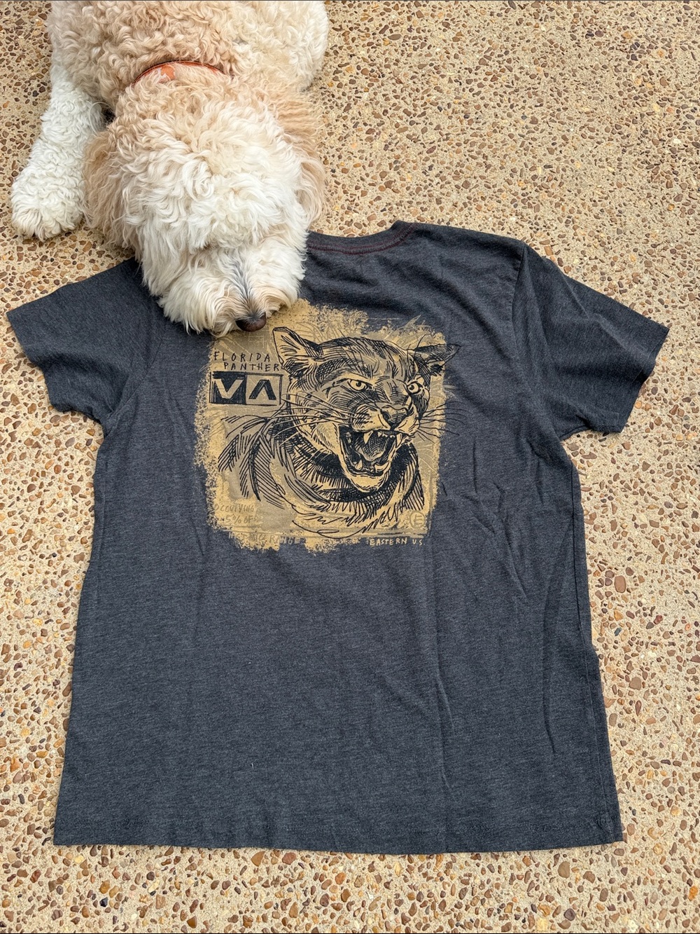 2 RVCA Short Sleeve Tshirts in Charcoal and White ~ Large ~ Florida Panthers - Picture 3 of 16